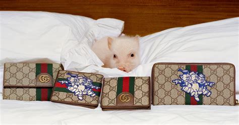 gucci pig brooch|Gucci brooch dupe.